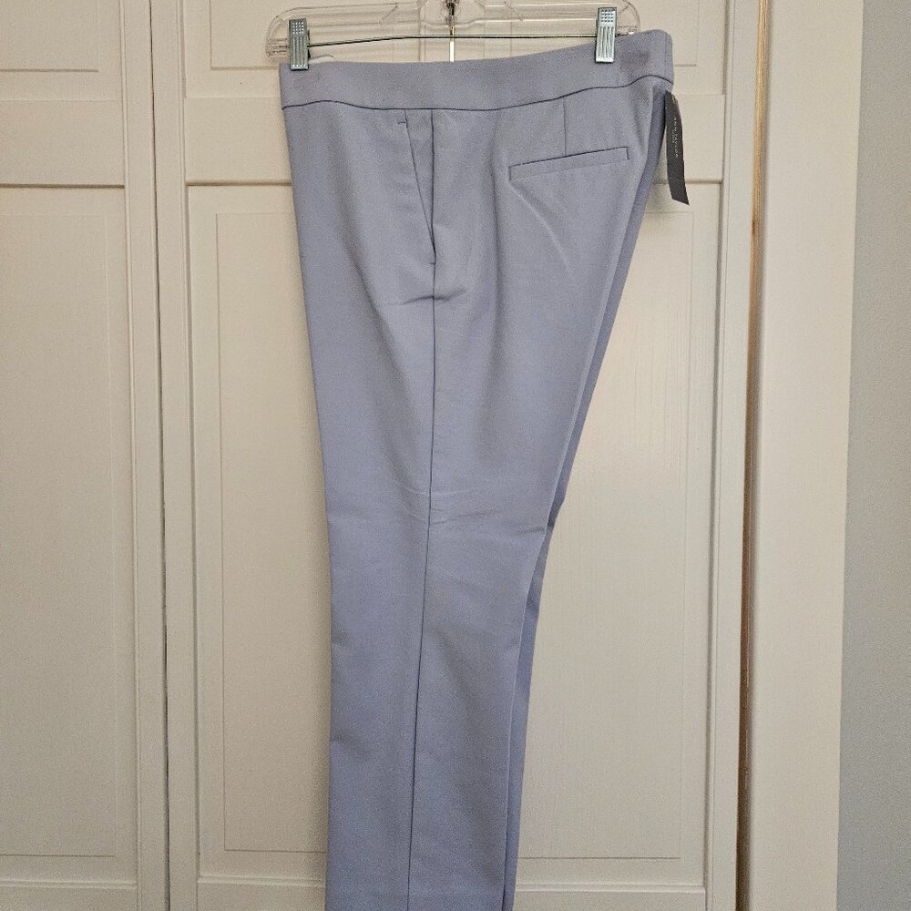 Ann Taylor Devin Light Blue Crop Pants - Size 10P (new)